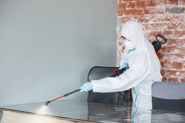 Best Asbestos and Lead Testing During Mold Inspection in Cedarhurst, NY